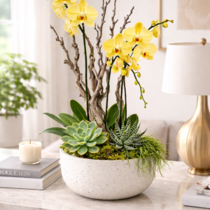 Arrangement gelber Orchideen in einer Terrazzovase
