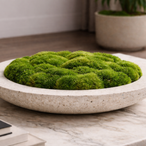 Biophilic Design – Moos Skulptur Essence