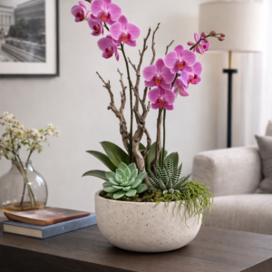 Orchideen Arrangement Pink im Terrazzo-Topf