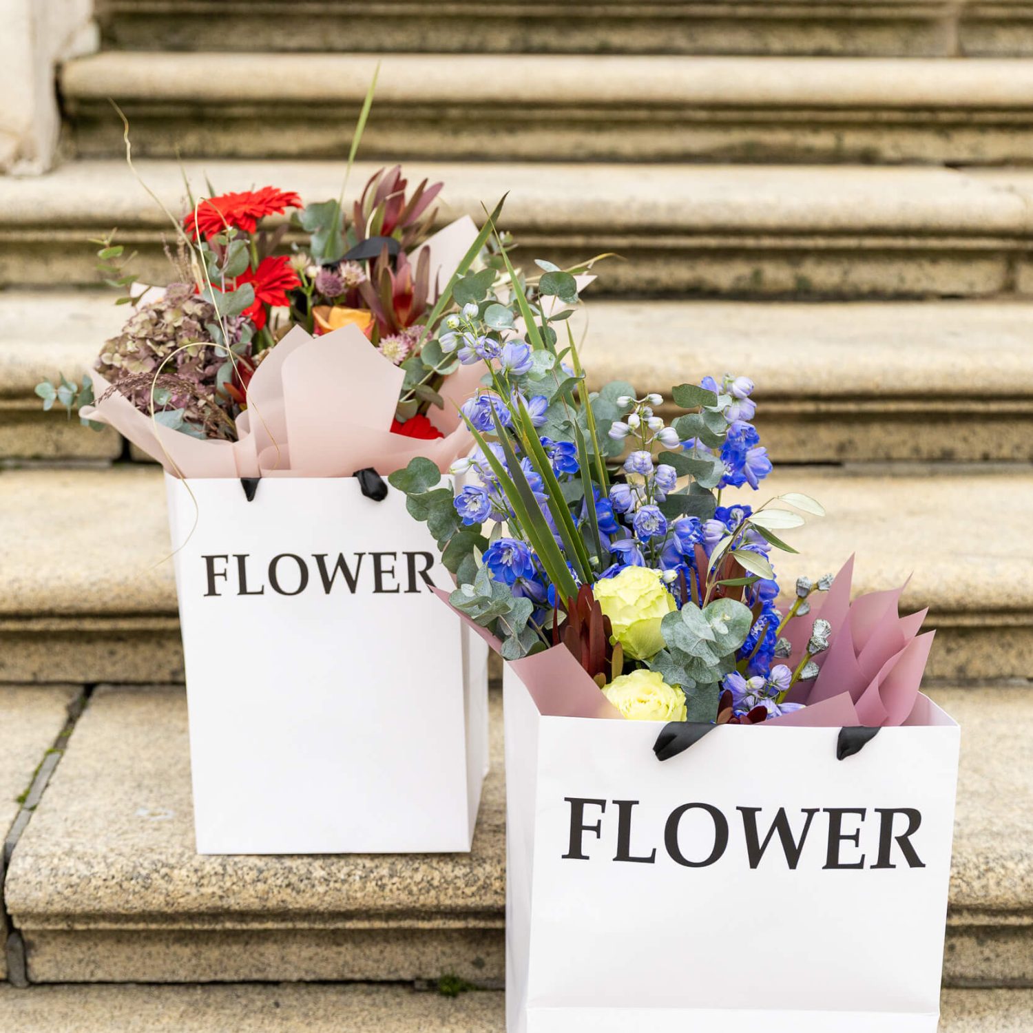 silvia_naiana_web-12