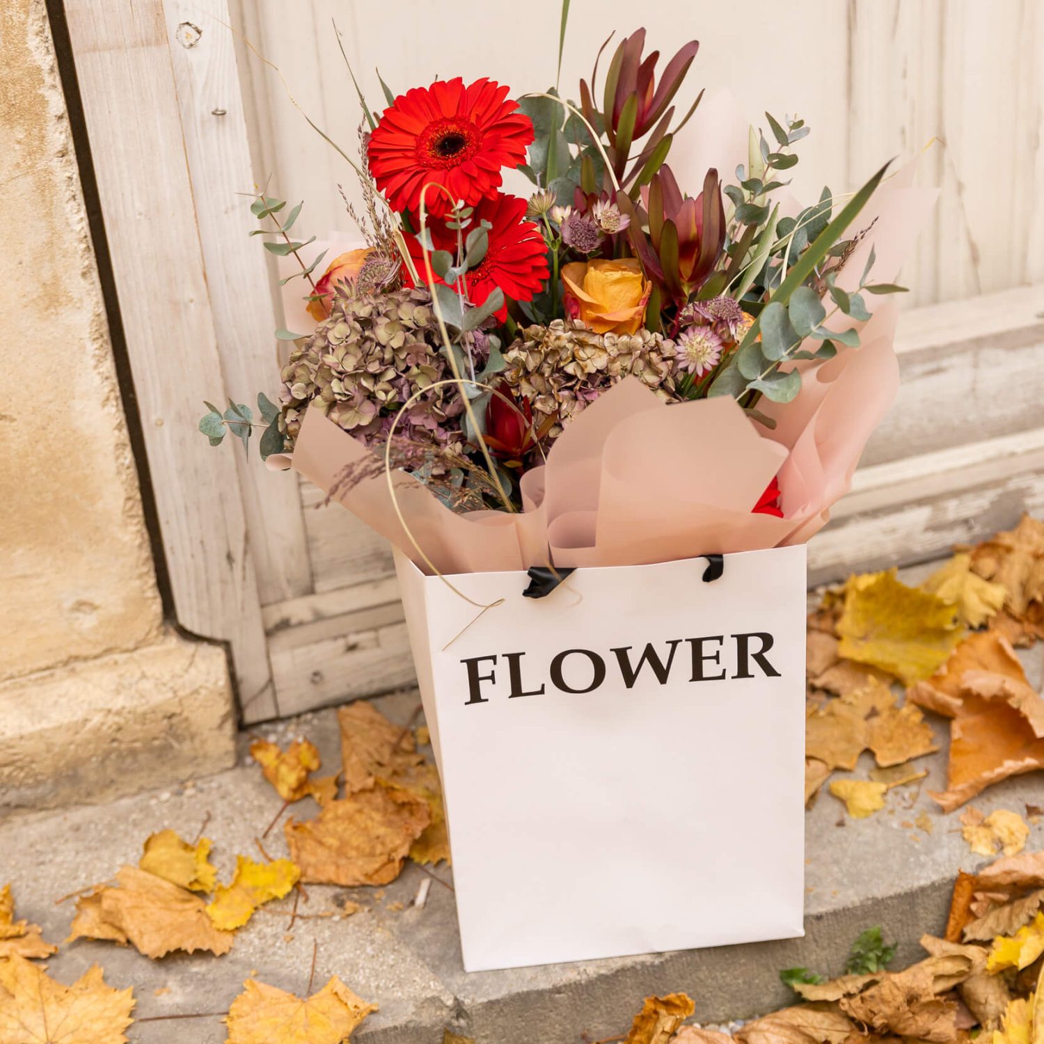 silvia_naiana_web-16